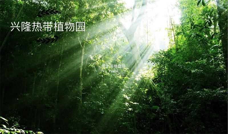 周边环境